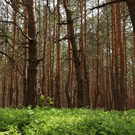 Na Czas, Ferienhaus Wilga
