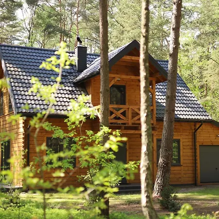 Na Czas, Wilga