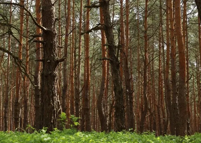 Na Czas, בית נופש וילגה